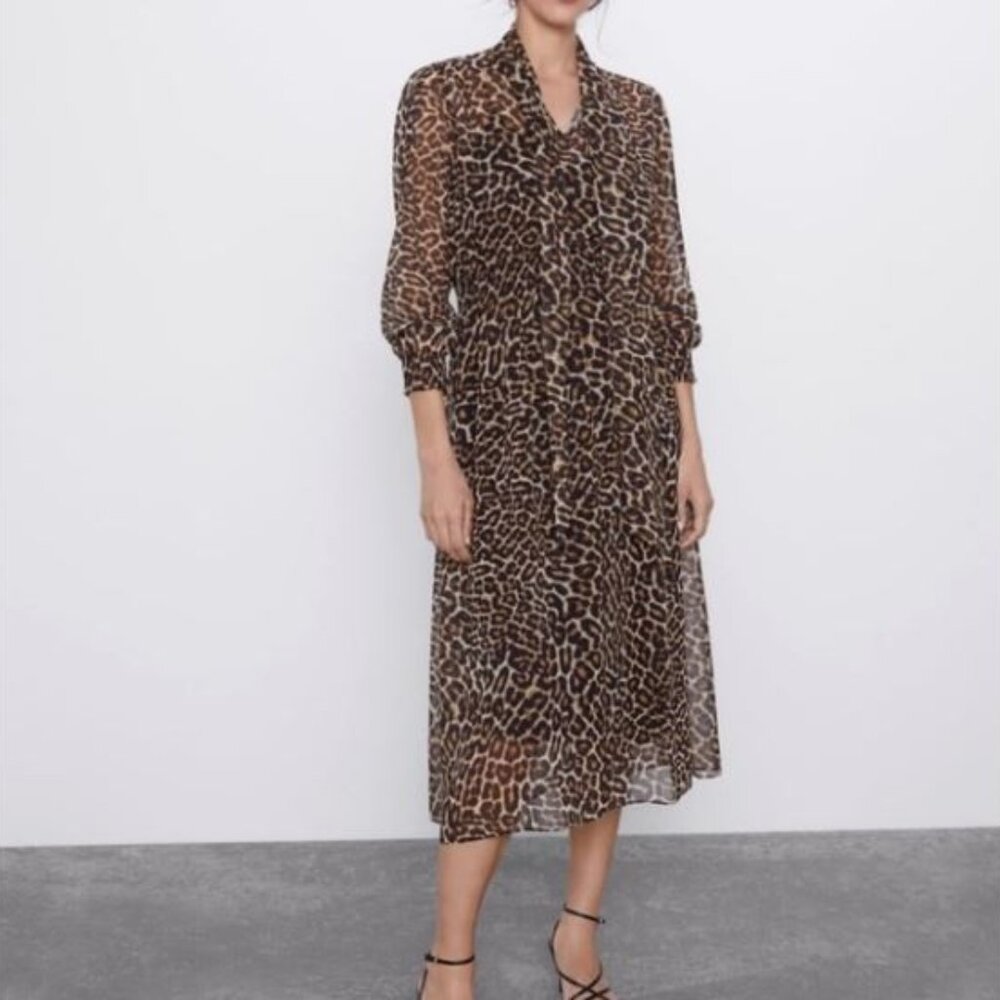 Zara Printed Maxi Dress